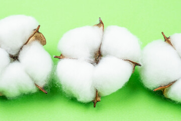 Cotton bolls on green background