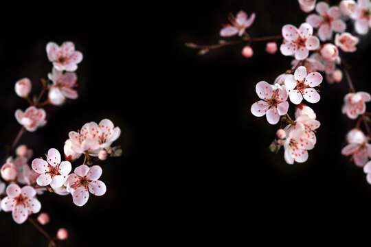 13 131 Best 背景画像 Images Stock Photos Vectors Adobe Stock 13 131 Best 背景画像 Images Stock Photos Vectors Adobe Stock