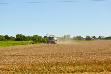 Naklejka premium Combine harvester in action on wheat field. Process of gathering a ripe crop.