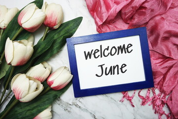 Welcome June written on blue frame with tulip flower flat lay on marble background