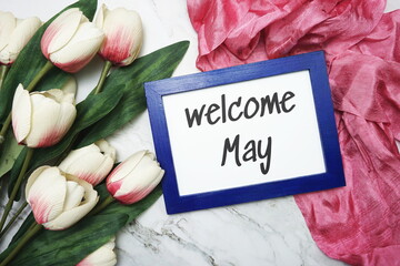 Welcome May written on blue frame with tulip flower flat lay on marble background
