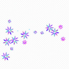 Color Hibiscus Vector Transparent Background.