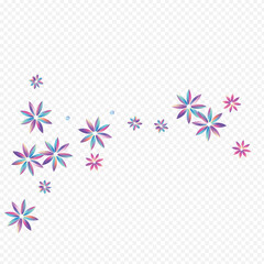 Color Hibiscus Vector Transparent Background.