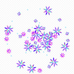Color Flower Vector Transparent Background. Light