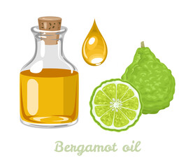 Bergamot essential oil in glass bottle and drop isolated on white background. Vector illustration of citrus fruit. Cartoon flat style.