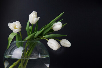 white flowers in a vase on a black background close-up