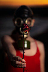 Girl in Red Dress Offering a Rose