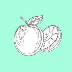 Fruits, exotic fruits, vegetarian - minimal thin line web icon set. Included the simple vector icons as mango, durian, rambutan, guava, tamarind, jackfruit. Outline icons collection.