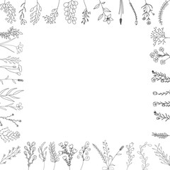 background sketch plants, grass, flowers hand drawn
