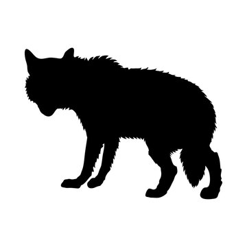 Gray Wolf Silhouette