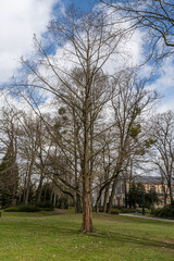 Obraz premium Square de la Patte d'oie