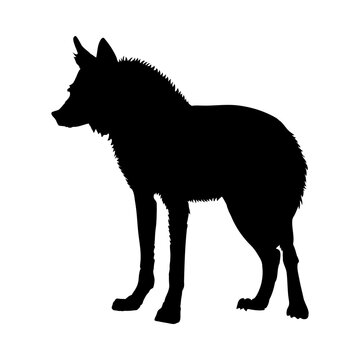 Maned Wolf Silhouette