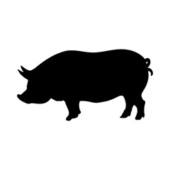 Ukrainian Pig Silhouette