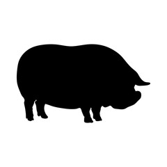 Yorkshire Pig Silhouette