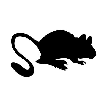 recommend clip art: Upland  Jerboa Silhouette