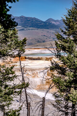 Mammoth Hot Springs in Yellowstone National Park. USA