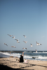 seagulls on the beach