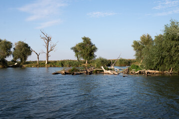 Fototapeta premium boats on the river