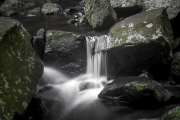 Curtis Falls, on the Gold Coast, Queensland, Australia