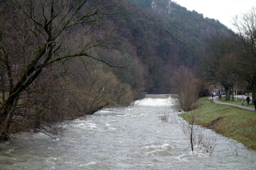 Hochwasser an der Dreisam umgeben von Wald mit Gehweg am Ufer