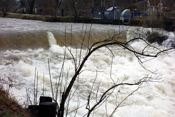 Hochwasser an der Dreisam Winterende