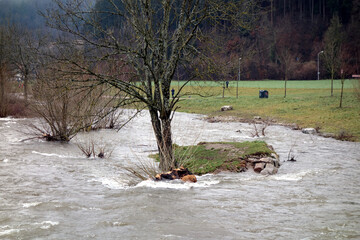 Starkes Hochwasser an der Dreisam nach Regenfällen und Schneeschmelze