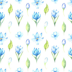 Wildflower crocuses flower pattern in a watercolor style isolated. Aquarelle wild flower for background, texture, wrapper pattern, frame or border. High quality illustration