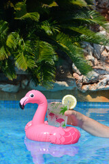 Hand holding glass in pink flamingo drink holder in swimming pool, close up © Josie Elias