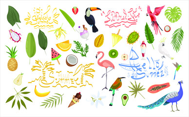 Obraz premium A bright tropical set with exotic birds and fruits. Summer banner with inscriptions and lettering. Hello summer.Summer sale.Illustrations for summer stickers. Tropical party. 
