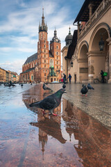 Fototapety na wymiar - Fototapeta24.pl