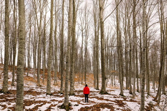 person in red jacket walking in the winter forest