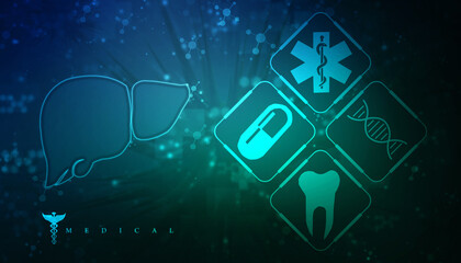 Realistic human liver 2d illustration

