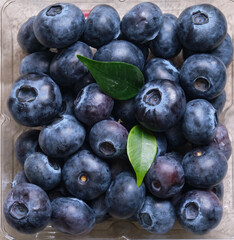 Fresh blueberries close-up in a plastic container. Products for a healthy diet. A source of vitamins.