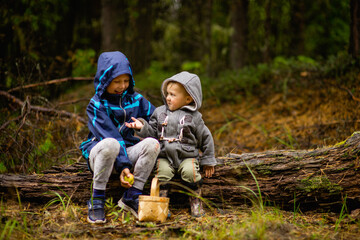 two boy funny brothers sit on a tree in the forest, selective focus