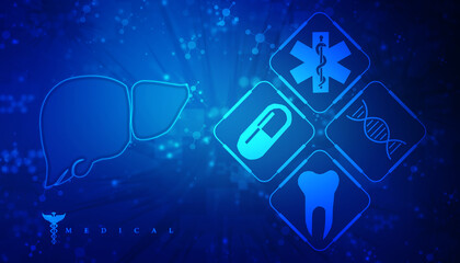 Realistic human liver 2d illustration

