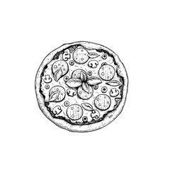 Hand drawn sketch style Salami pizza. Top view. Traditional Italian cuisine. Dough, tomato sauce,  melted mozzarella mushrooms, chopped olives and  basil leaves. 