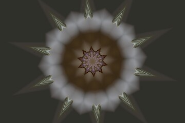 Kaleidoskop einer Magnolienblüte