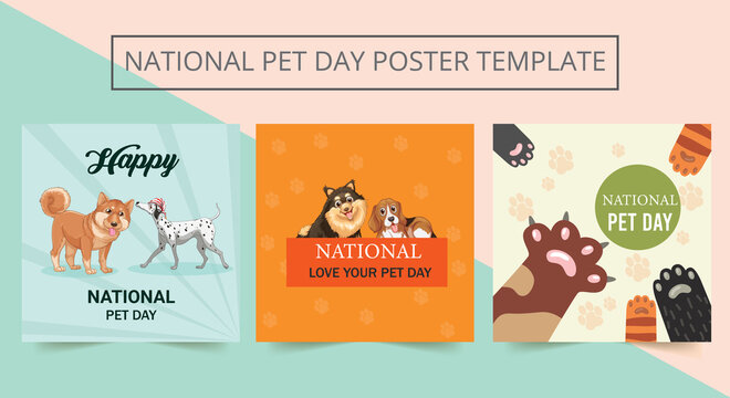Set of Editable National Pet Day Square Poster template. social media, story, and web internet ads poster. National Pet Day. 