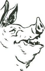 The pig is drawn in the style of a graphic book illustration. Pig profile. On a white background. Coloring.