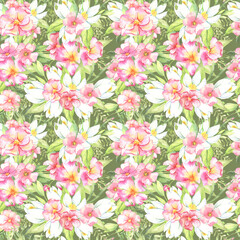Fototapeta na wymiar Wildflower flower pattern in a watercolor style isolated. Aquarelle wild flower for background, texture, wrapper pattern, frame or border. High quality illustration