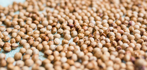 dried cherry pits texture background