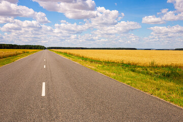 road going into perspective, yellow fields and blue sky with cumulus clouds