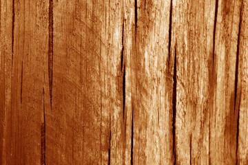 Part of wood curving on oak in orange tone.