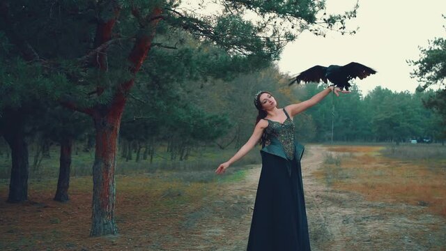 Fantasy woman in black creative dress with raven on hand posing with open arms like bird dreams of freedom flying to sky. Dark fairy with pet. Nature green wild forest pine. Fashion model dark queen