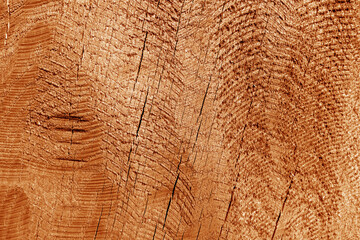 Part of wood curving on oak in orange tone.