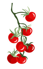 Illustration of Red Tomatoes.