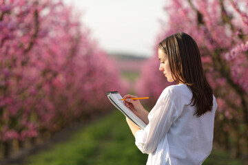 Woman drawing a pink field in a notebook