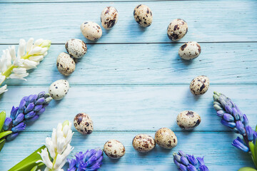 easter quail eggs in a circle and spring- blooming hyacinths on a blue wooden background - 422529165