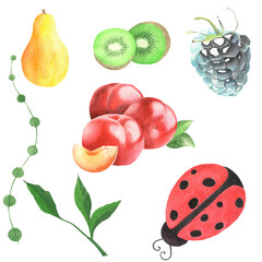 Fruits, pears, kiwi, berries, leaves, branches and herbs. Set of design elements for patterns, duct tape, dyeing, textile, wallpaper, packing.