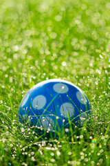 blue ball with white dots on grass, rising sun back lit, early morning